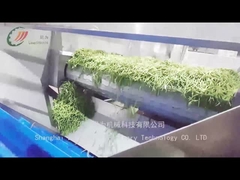 ¿Cómo produce la línea de producción de frijoles enlatados?