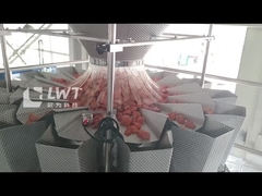 Máquina de embalaje de vacío de termoformación automática línea completa de embalaje de bolsas