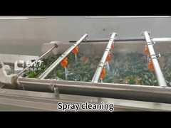 Línea automática de producción de conservas de pepino de vegetales