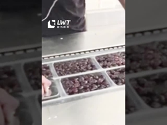 Línea de producción de envases de fecha Máquina de envasado de vacío de película de estiramiento automática