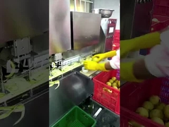 Línea de producción de frutas enlatadas Leadworld Línea de procesamiento de peras enlatadas