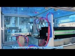 2400BPH Línea de producción de relleno de garbanzos en caja CE