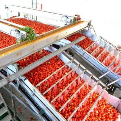 Línea de producción de latas multifuncionales para tomates enlatados de Leadworld Industrial