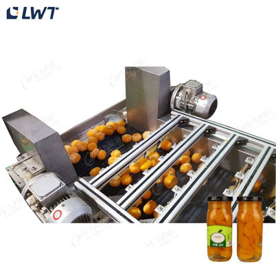 Línea de producción de frutas enlatadas de Leadworld Línea de procesamiento de naranjas enlatadas